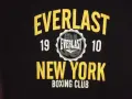 Тениски EVERLAST   мъжки,М -Л-ХЛ  /сива,синя,черна/, снимка 9