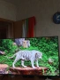 Телевизор TCL QLED 43P7K, снимка 6