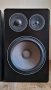 Тонколони Braun LS100 / 10 inch, снимка 2