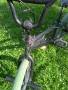 Колело Велосипед- BMX, снимка 3
