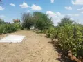 Продава се вила, местността Орлето , снимка 9