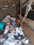 продавам мъжко куче , снимка 2