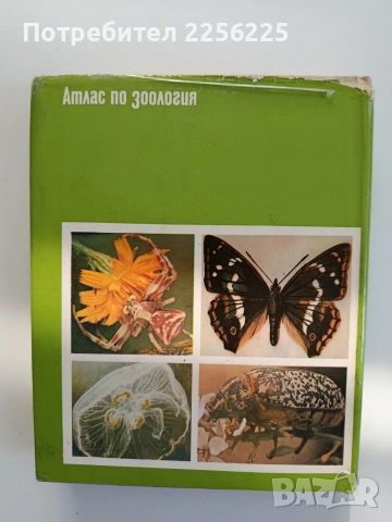 Атлас по зоология ( безгръбначни животни), снимка 7 - Специализирана литература - 55178721