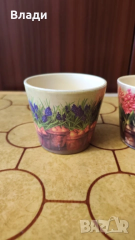 Комплект малки кашпи, снимка 7 - Стайни растения - 54350795