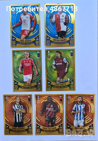 Футболни карти Finisher, Next Gen, Limited Edition, Stadium Star Limited Edition, Energy, Cult Hero, снимка 3 - Фен артикули - 55056091