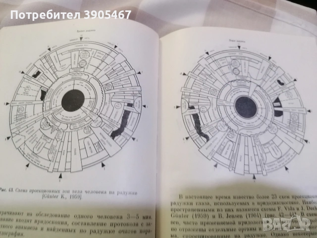 Ирисова диагностика НОВА на руски, снимка 2 - Специализирана литература - 54223125