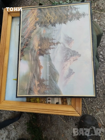 Картини , снимка 3 - Картини - 55068972