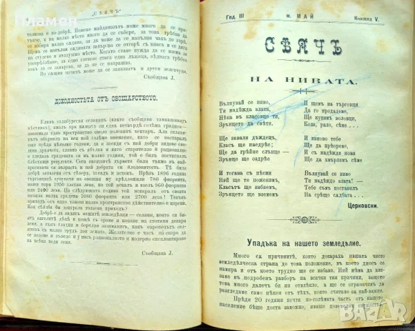Сеячъ. Кн. 18-19, 23-24 / 1899; Кн. 1, 5, 6, 7, 9, 10, 11 и 12 / 1900, снимка 6 - Антикварни и старинни предмети - 55502712