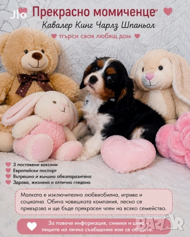 Момиченце трикольор 