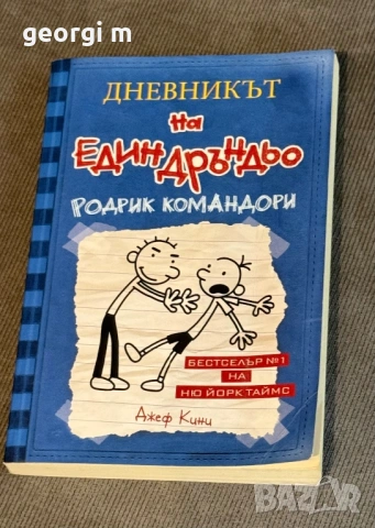 Книга Дневникът на един Дръндьо 2