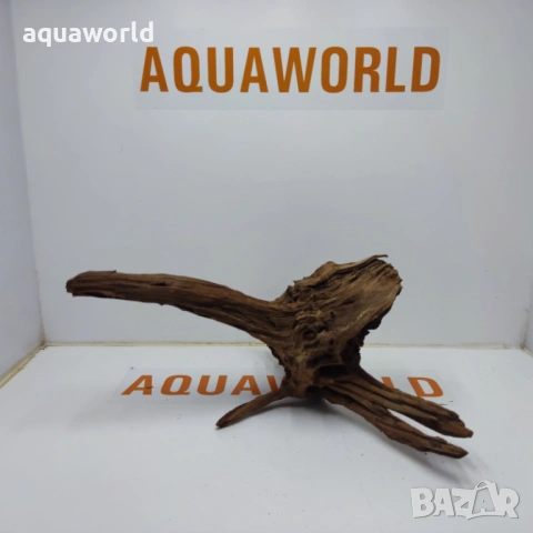 Мангров корен 8