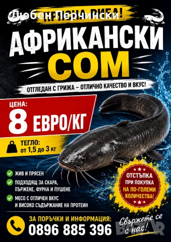 Продавам африкански сом 
