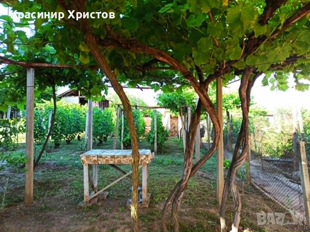 Продава се двуетажна къща в село Радомирци, община Червен бряг, снимка 4 - Къщи - 55047541