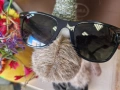 Ray-Ban LiteForce мъжки слънчеви очила, снимка 1