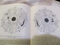 Ирисова диагностика НОВА на руски, снимка 2