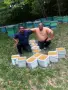 Цветен Прашец / Пчелен прашец15€/кг реколта 2026г, снимка 12