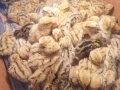 ПЪДПЪДЪЦИ ПРОДАВАМ , снимка 3