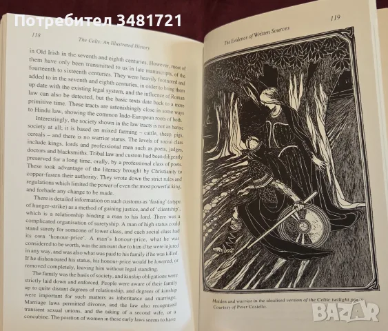 The Celts. An Illustrated History, снимка 15 - История, политика и общество - 55362474