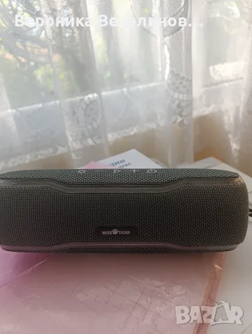 Wisetiger speaker