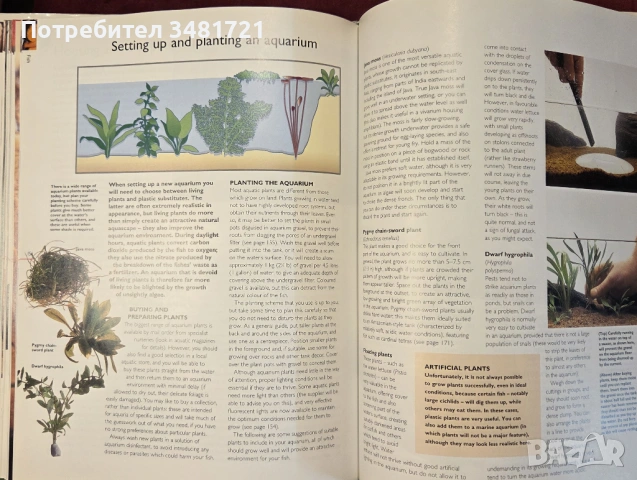 Енциклопедия за домашни любимци / The Hamlyn Family Pet Care Encyclopedia, снимка 9 - Енциклопедии, справочници - 54167821