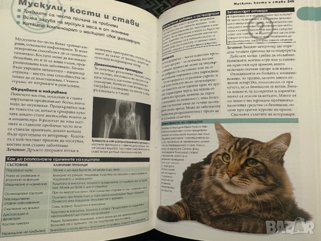 Всичко за котката -д-р Брус Фогъл-наръчник на собственика, снимка 5 - Енциклопедии, справочници - 54399030