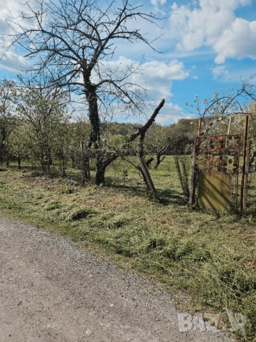 Дворно място 600кв.м. без постройка с.Слънчево -95Э кв.м.,ток,вода 