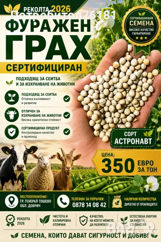 Пролетен грах Астронафт 
