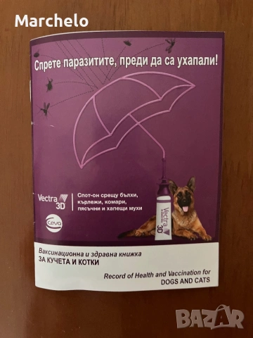 Йорки 2 месеца, снимка 5 - Йоркширски териер - 54030024