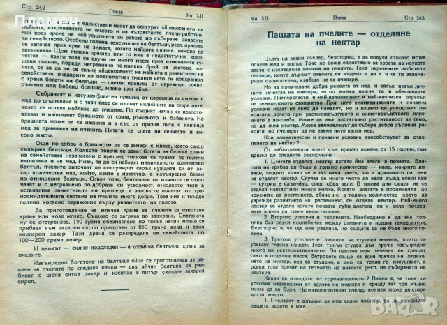 Пчела. Кн. 1-12 / 1947, снимка 11 - Антикварни и старинни предмети - 55327193