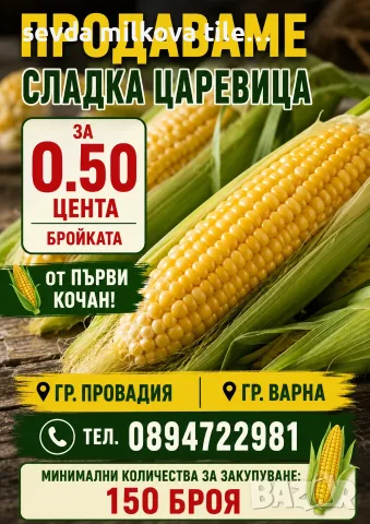 Продавам сладка царевица 