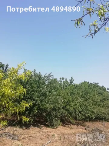 Продавам КЪЩА, гр. Две могили, обл. Русе, снимка 12 - Къщи - 55391451