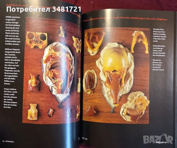 Encyclopaedia Аnatomica, снимка 7 - Специализирана литература - 55361424