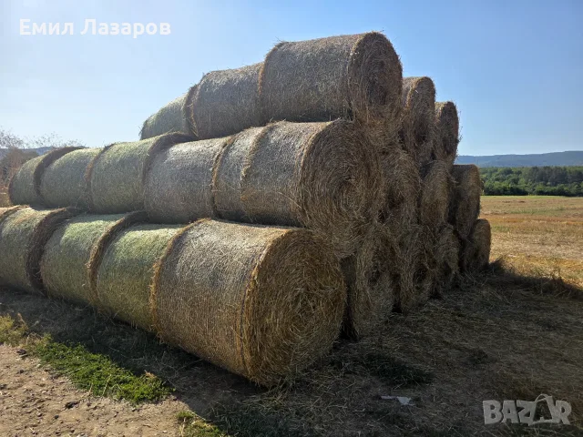 Бали житна слама 1,45×120, снимка 2 - За селскостопански - 55539056