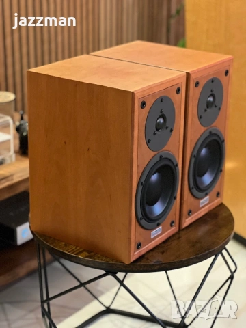 Dynaudio Contour 1.3, снимка 3 - Тонколони - 54567543