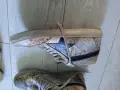 Мъжки лот от дрехи и обувки , снимка 3