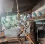 Продавам вълнисти папагали, снимка 1