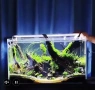 Продавам нова лампа с таймер за аквариум , снимка 5