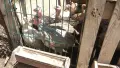 продавам пуйки редбърбън и селски , снимка 2