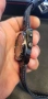 SEIKO - X KINETIC - GMT, снимка 4
