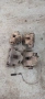 спирачни апарати бмв е46 318 118кс bmw e46, снимка 1