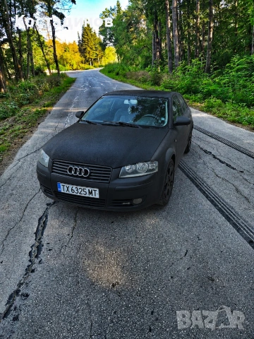 Audi A3 8p 2.0TDI