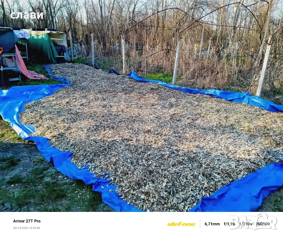 Мулч / Дървесен чипс / 100% Натурален , снимка 13 - Градински цветя и растения - 53591340