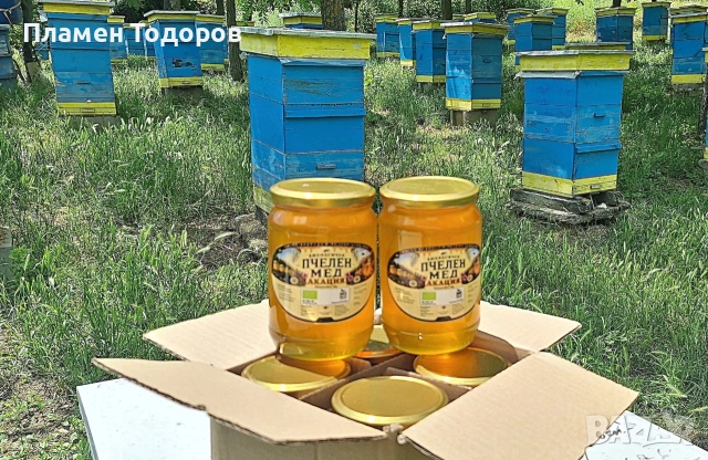 Био Пчелен Мед Акация, снимка 2 - Пчелни продукти - 55007076
