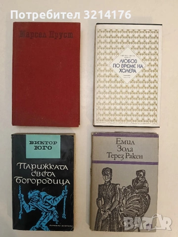 Парижката Света Богородица - Виктор Юго