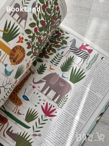 Дърветата| Пьотр Соха , снимка 10 - Детски книжки - 54179710