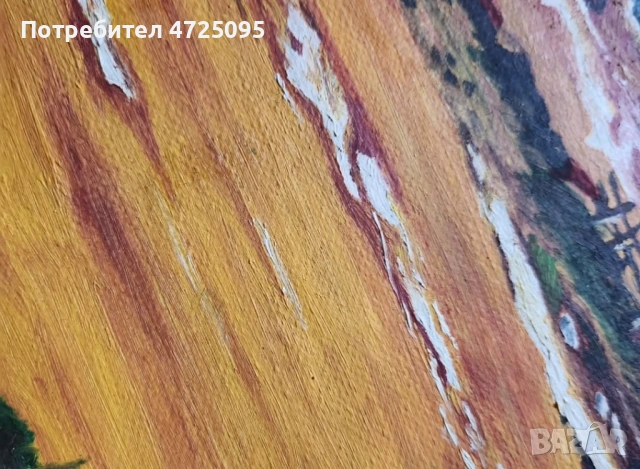 Авторска картина, снимка 3 - Картини - 54045535