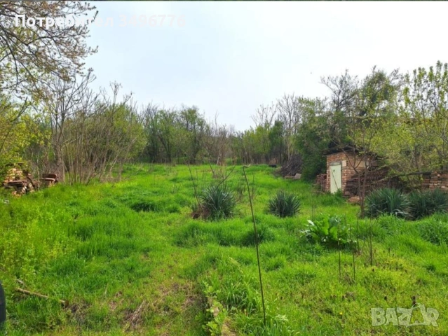 Продавам имот в тихо и спокойно село , снимка 5 - Къщи - 54710335