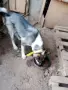 Източно сибирска лайка , снимка 1