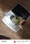 Delonghi ECAM24.210.SB, снимка 4
