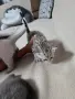 Британчета търсят нов дом, снимка 6